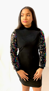 Embellished Sleeve Dress